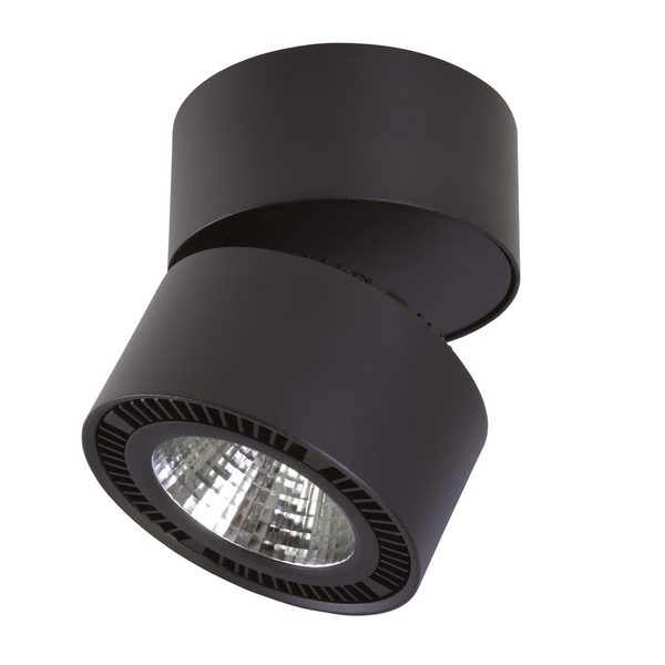 67004d37e80f3aa88bd26d33f7acfe12 600x600 - Точечный светильник FORTE MURO 213857