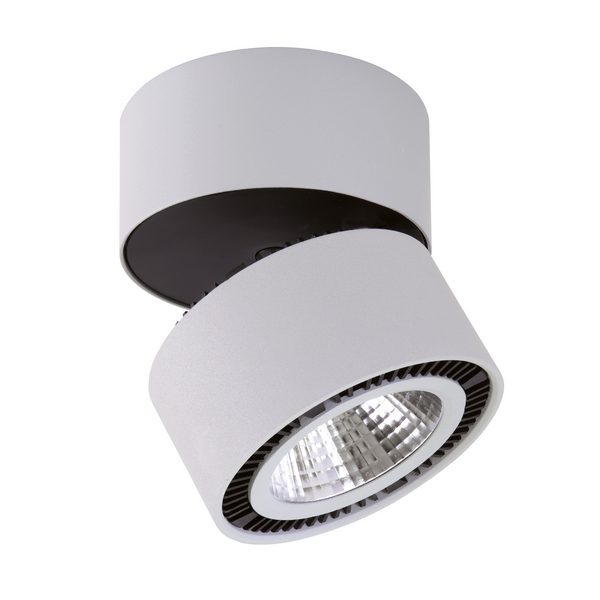 ab6d15b276d37a2911cf4f46a3a1e1d2 600x600 - Точечный светильник FORTE MURO 214859